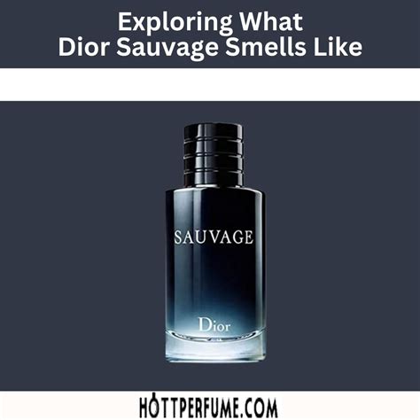 black sauvage dior|what does Dior Sauvage smell like.